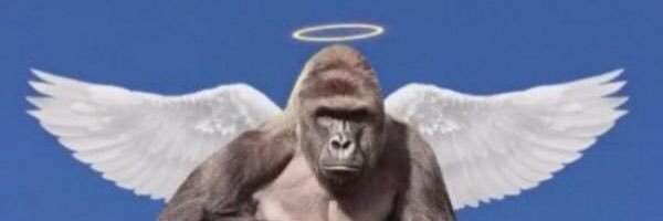 totalchapmove's profile banner image