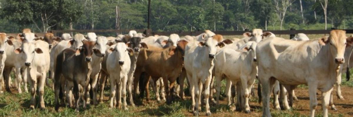 Seuproblematico's profile banner image