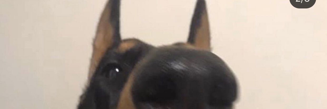 shayone9's profile banner image