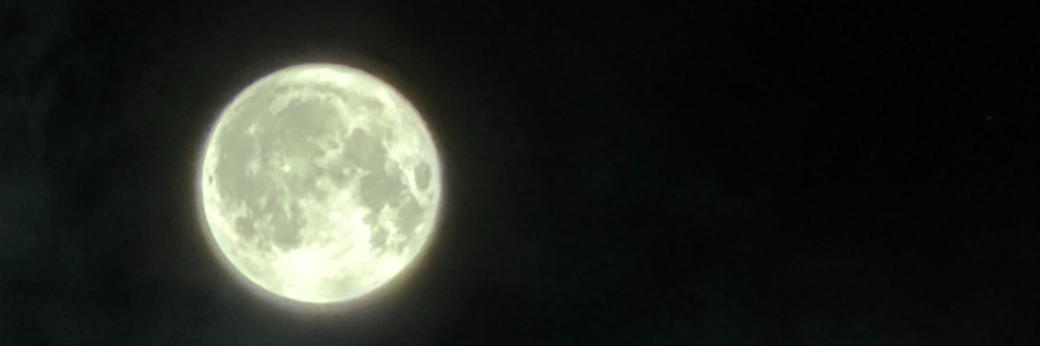 ElJefeHollywood's profile banner image