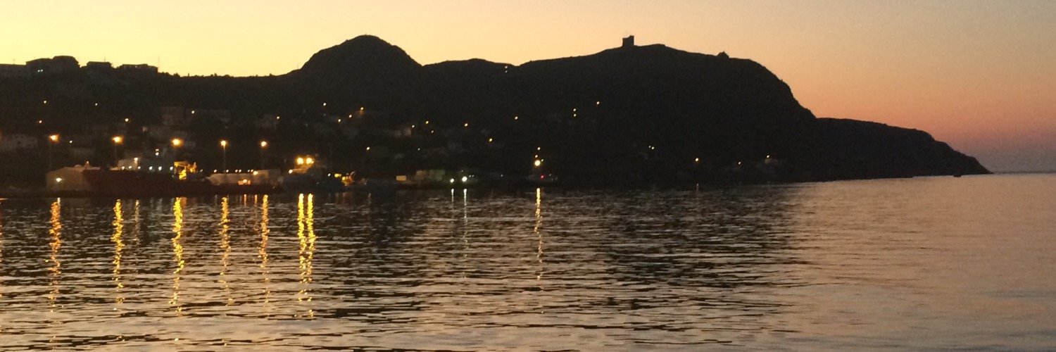 Anne G. Robinson banner