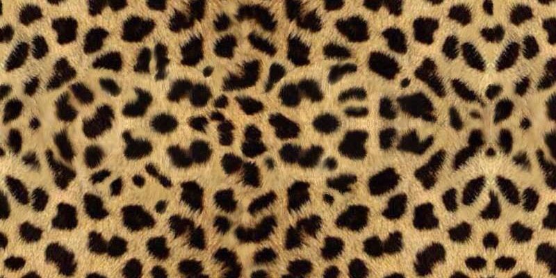 MartinGoss's profile banner image