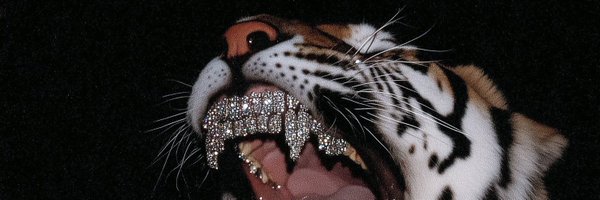 baileykayee Profile Banner