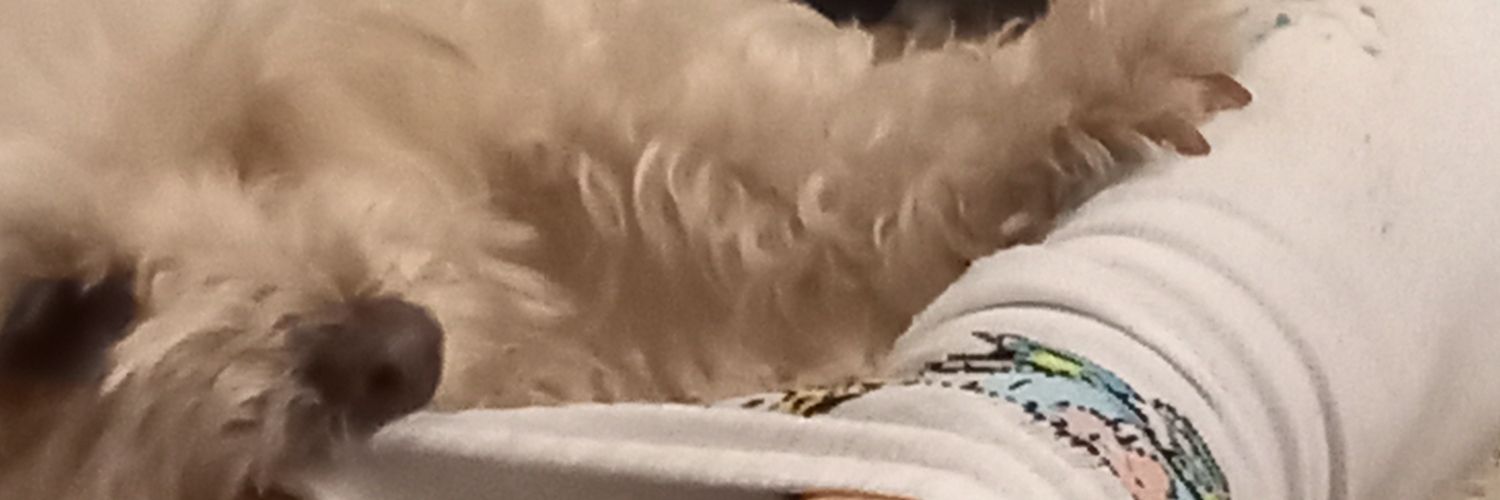 eplixx's profile banner image