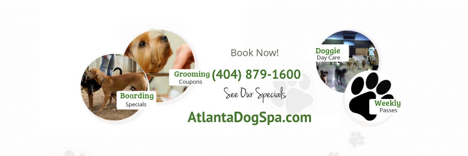 AtlantaDogSpa's profile banner image