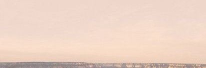 jigllypufff's profile banner image