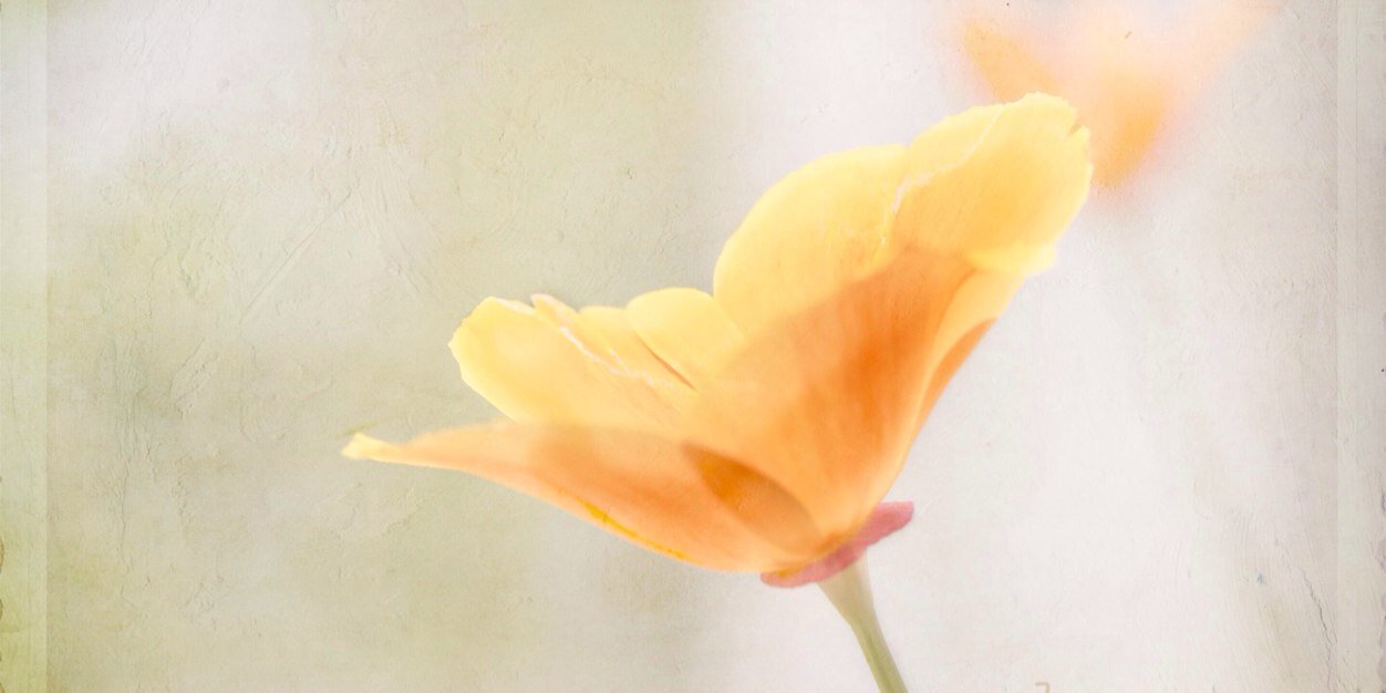 shaunalarry's profile banner image