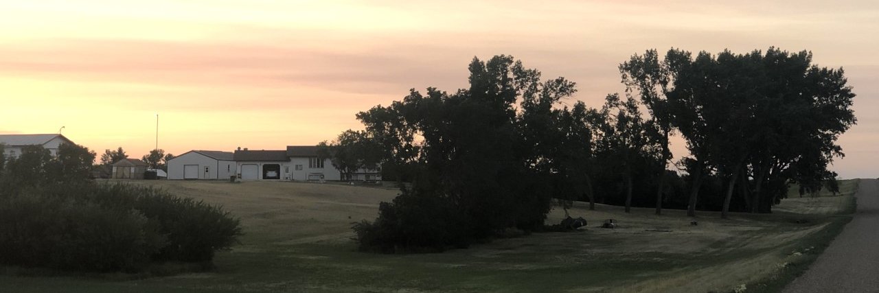 Michelle Cyrenne Parrish banner