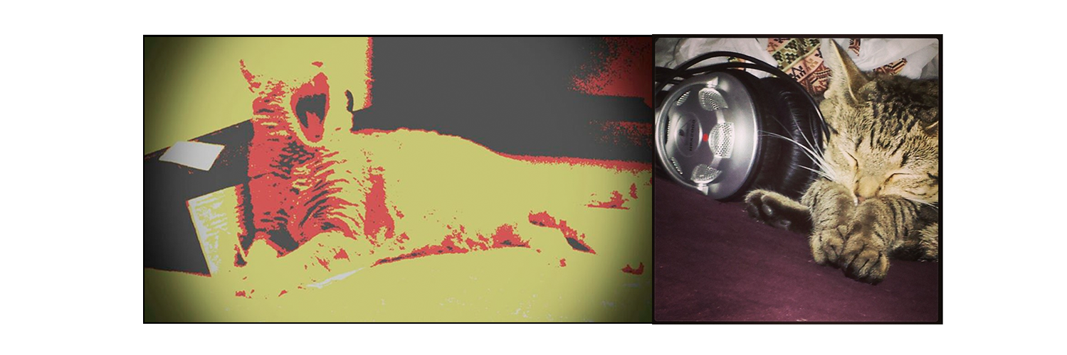 catsnmuzac's profile banner image