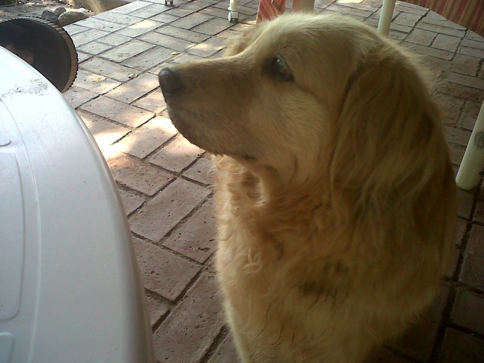 guillomansilla's profile banner image