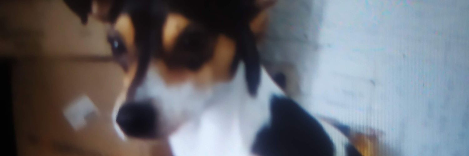 RipYeye's profile banner image