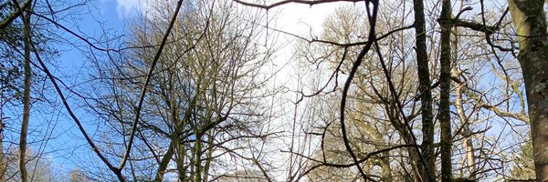 BlathnaidRua Profile Banner
