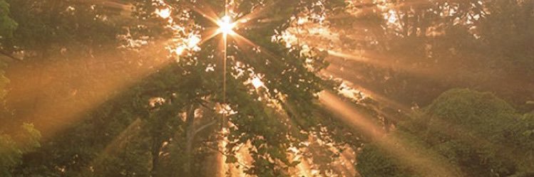 grayce_dan's profile banner image