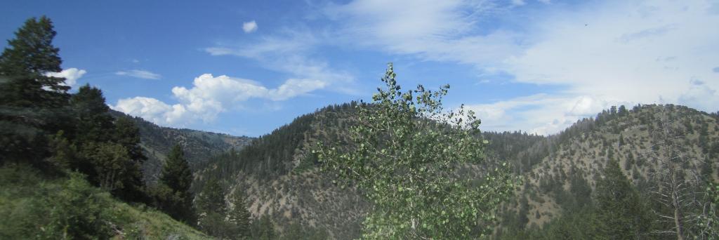 dfloydlife's profile banner image