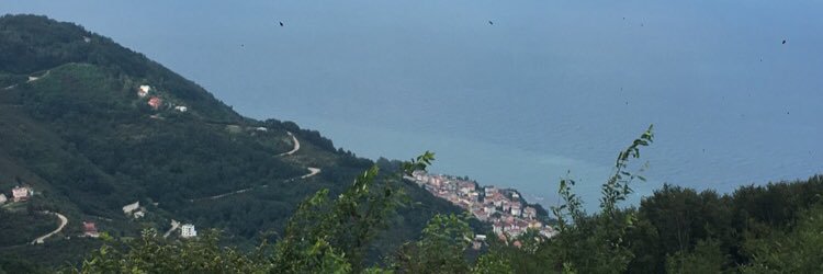 NQ29_'s profile banner image