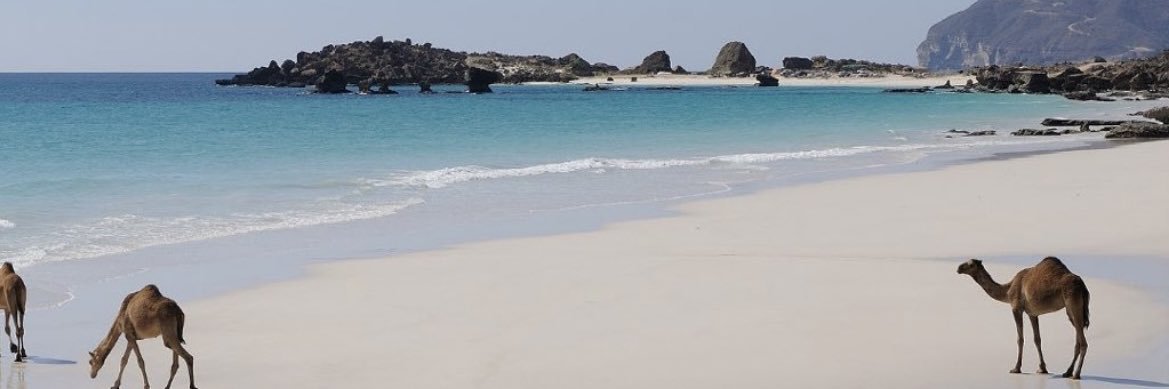 عبدالله آل خليفة banner