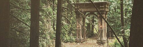 filhodejano's profile banner image