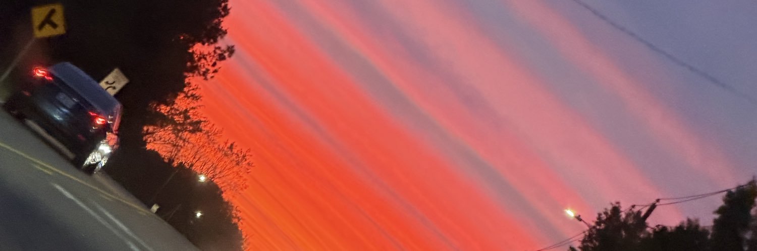 Nicole 🪸 banner
