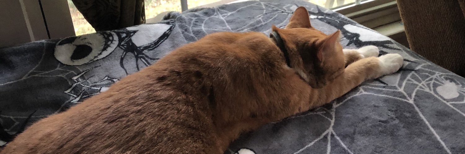 TPepperz's profile banner image