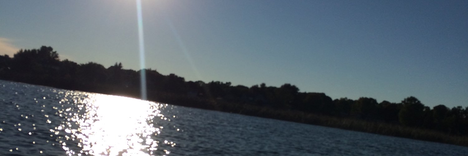 DS_Seany's profile banner image