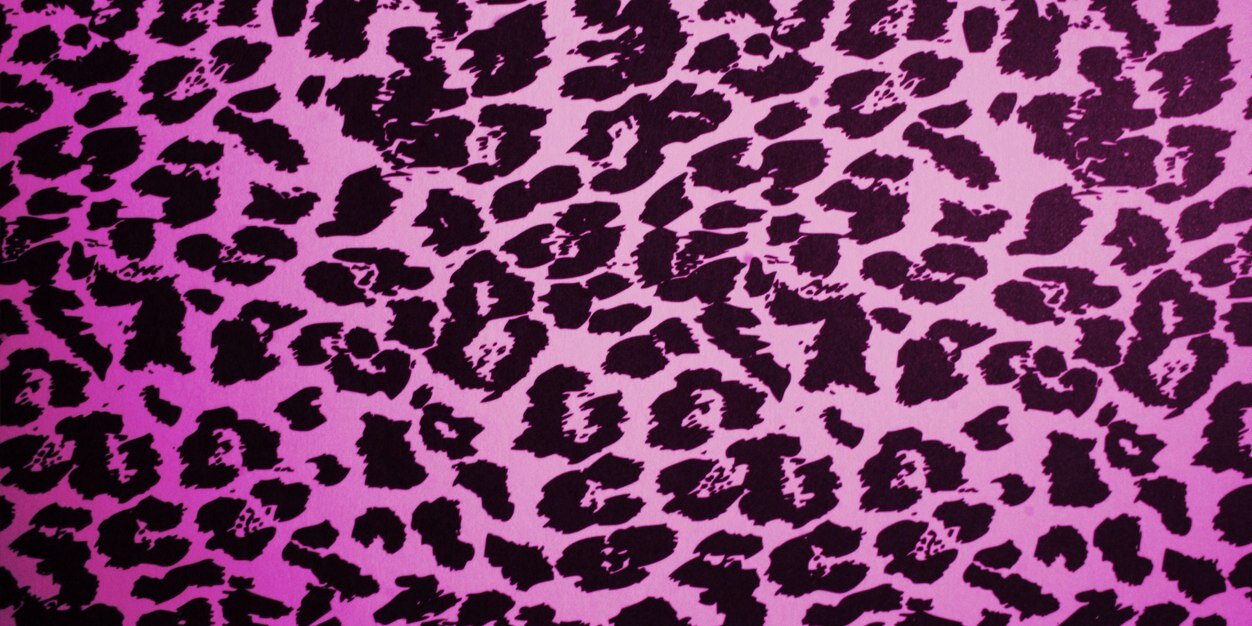 shelbacree's profile banner image