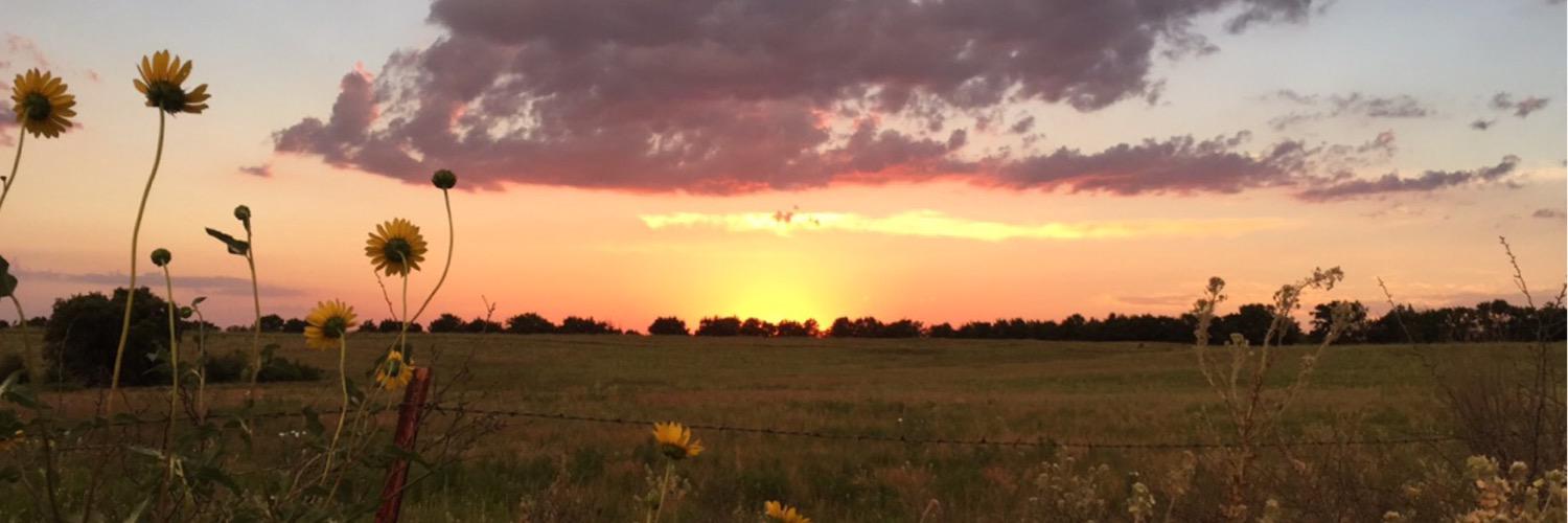 AlldayKariJ's profile banner image