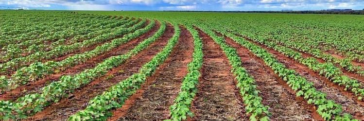 nrmsco's profile banner image