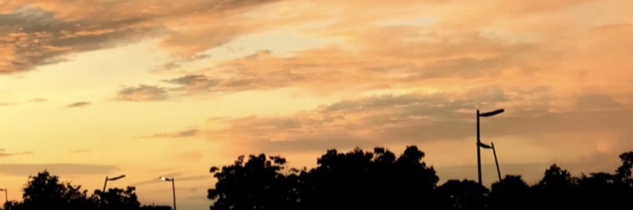 maurarumbo's profile banner image