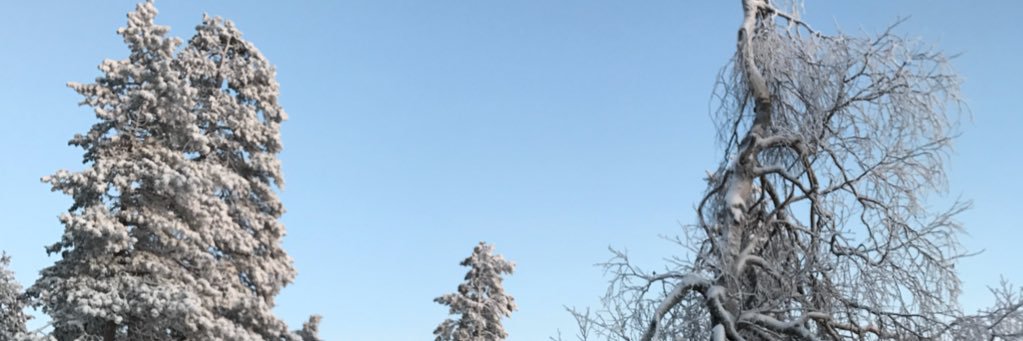 StasyDmitrievna's profile banner image
