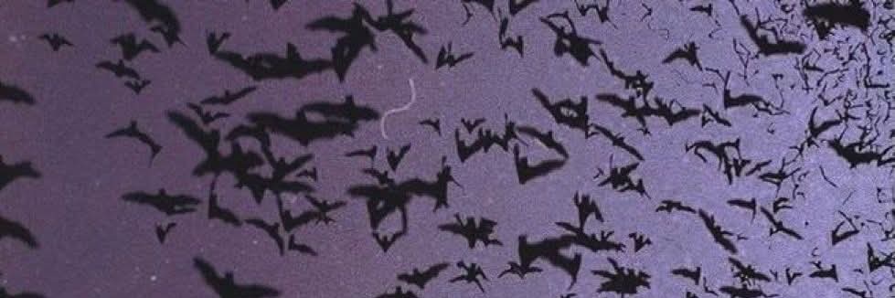 _MyNameIsDark's profile banner image