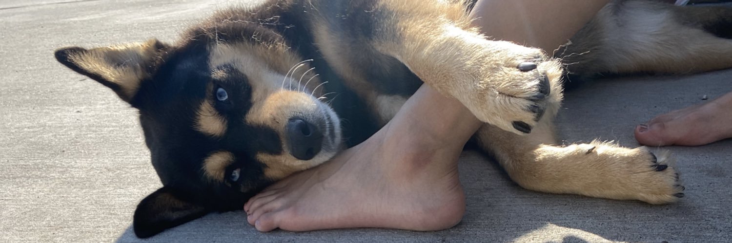 vanilla4ever's profile banner image