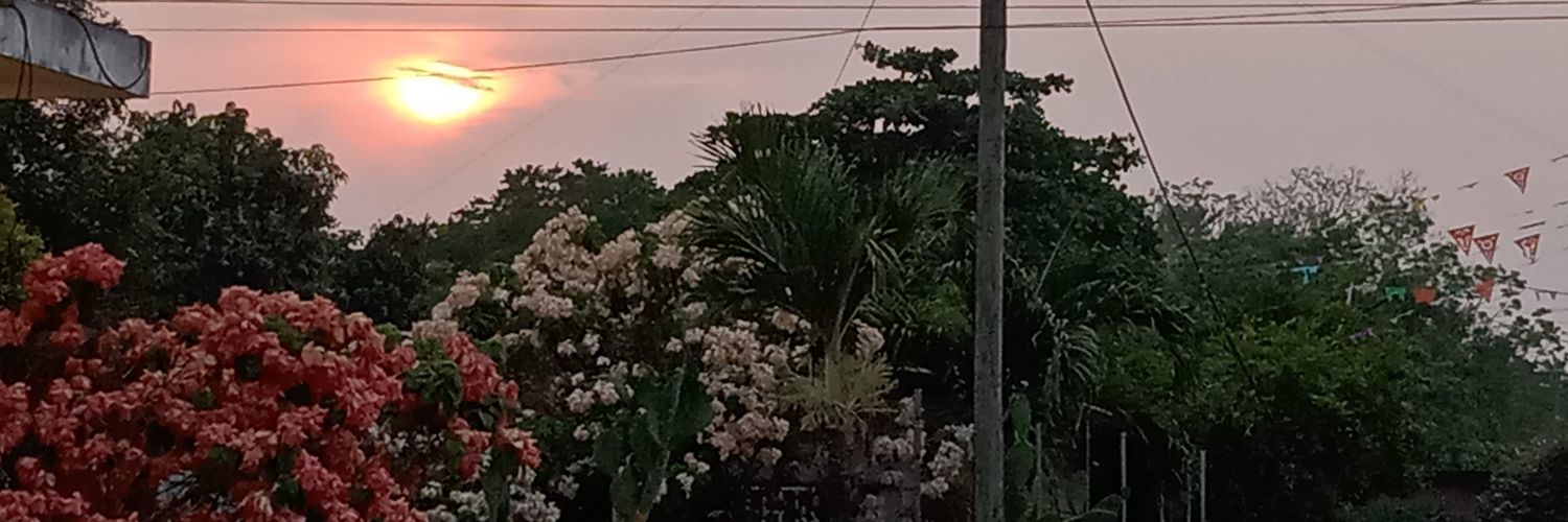 Unataltituba's profile banner image