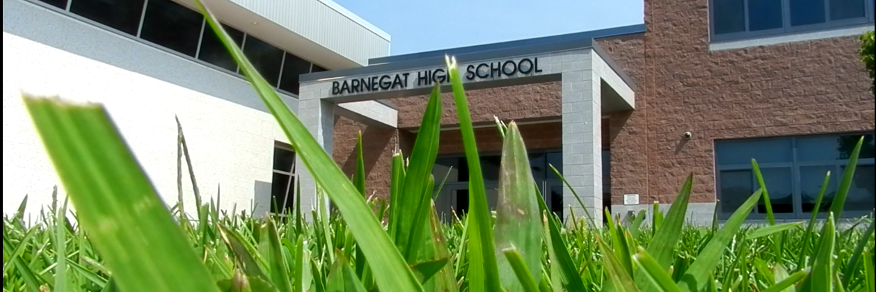Bengal Buzz banner