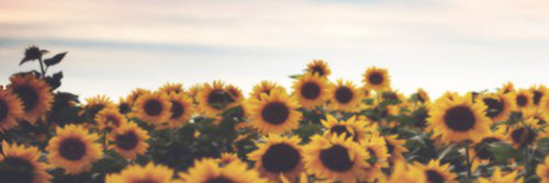 kaylamfails's profile banner image