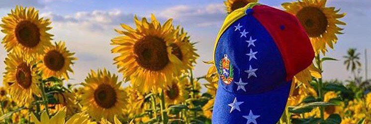 valeex33's profile banner image