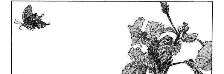 rosecoloredmoon's profile banner image