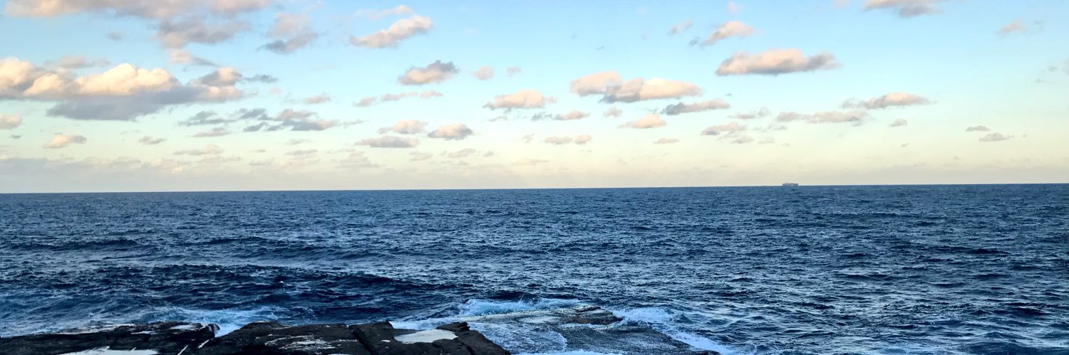 RuthHogan2's profile banner image