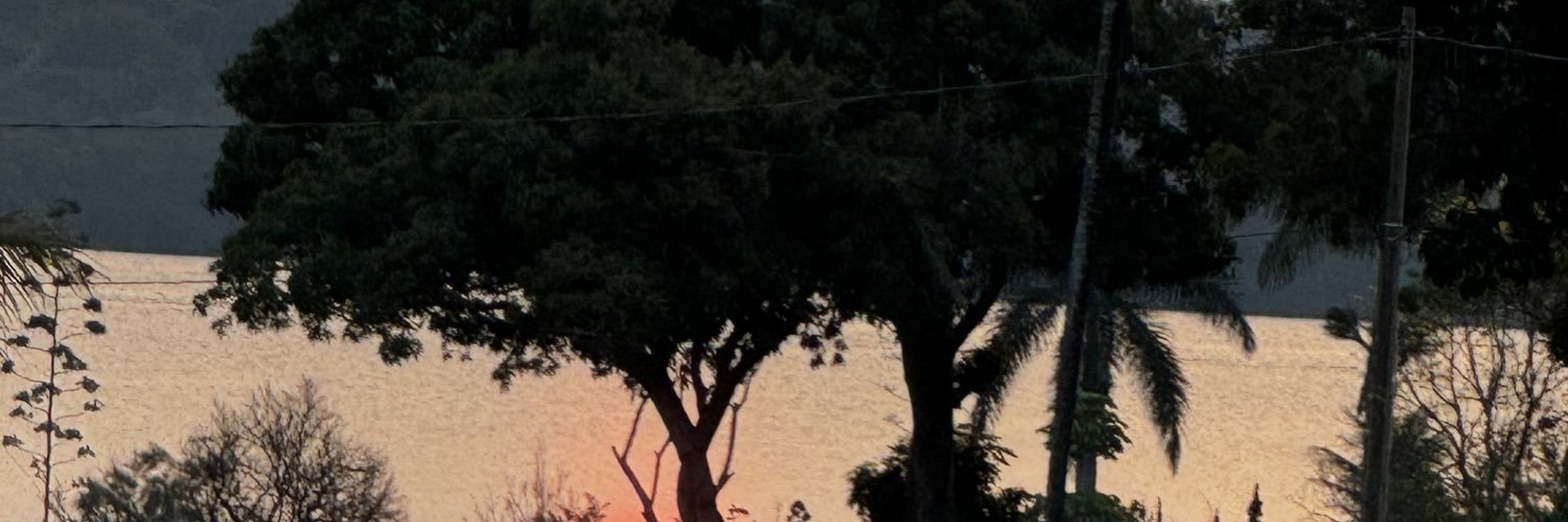 simonecfer's profile banner image