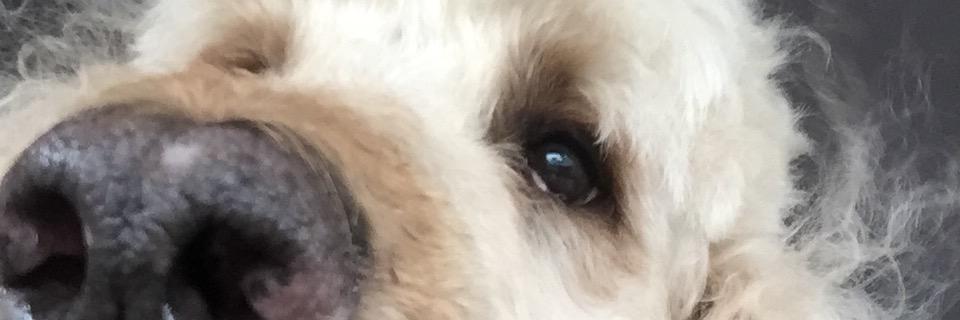140lettersofAC's profile banner image