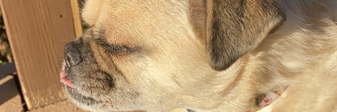samgendreau1's profile banner image