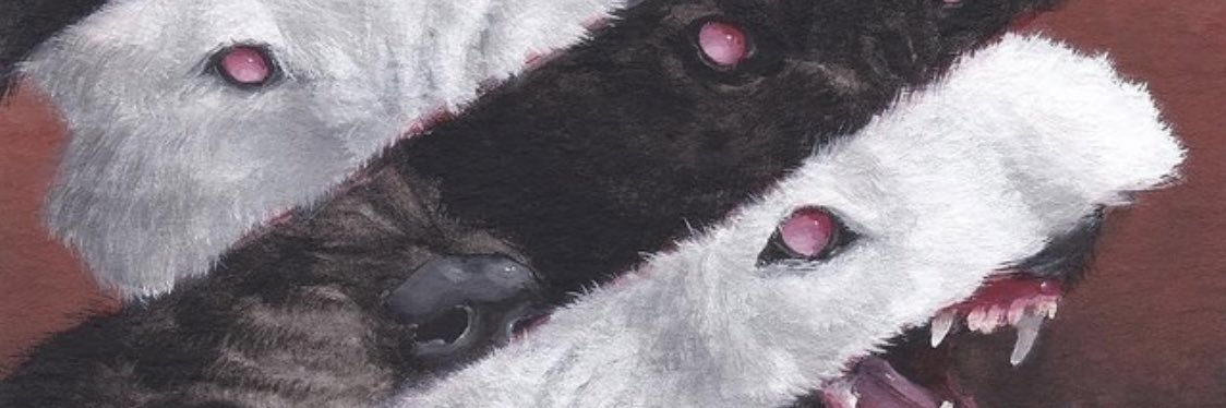 daboytre's profile banner image