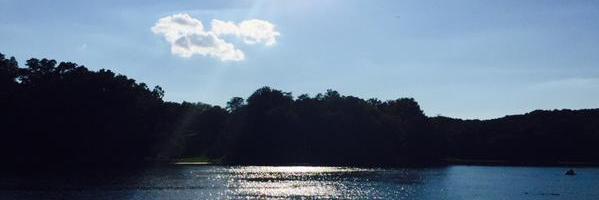 dermande1's profile banner image