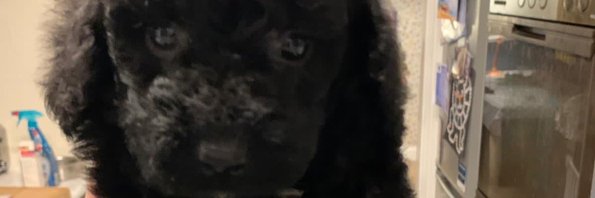 JakeCole94's profile banner image