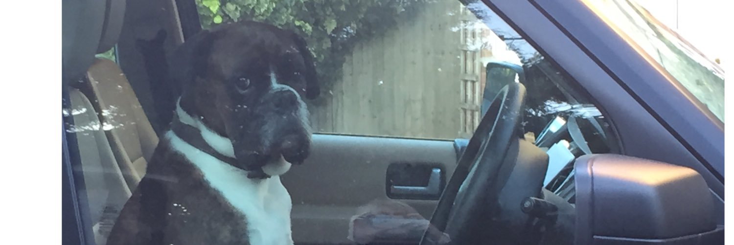 DexyBoxer's profile banner image
