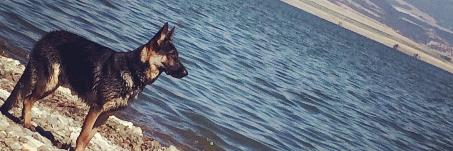 brittonty406's profile banner image