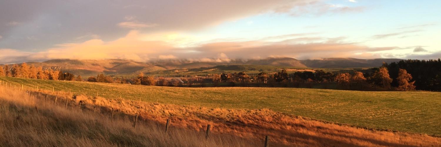 MatthewNeilson's profile banner image