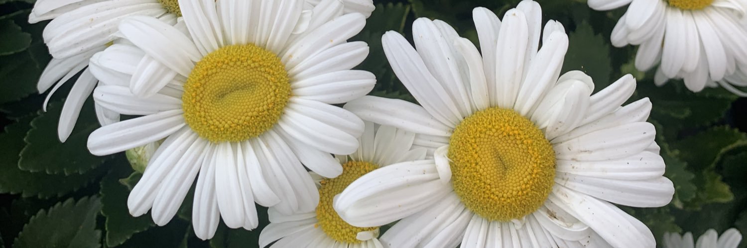 addynicole_'s profile banner image