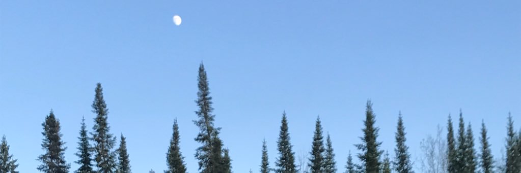 holowatenko's profile banner image