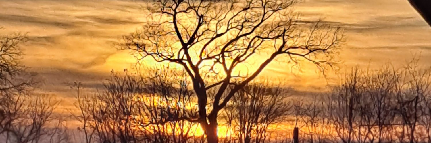 tarynholt's profile banner image