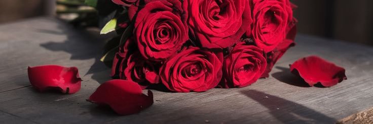 UniversalGodd's profile banner image